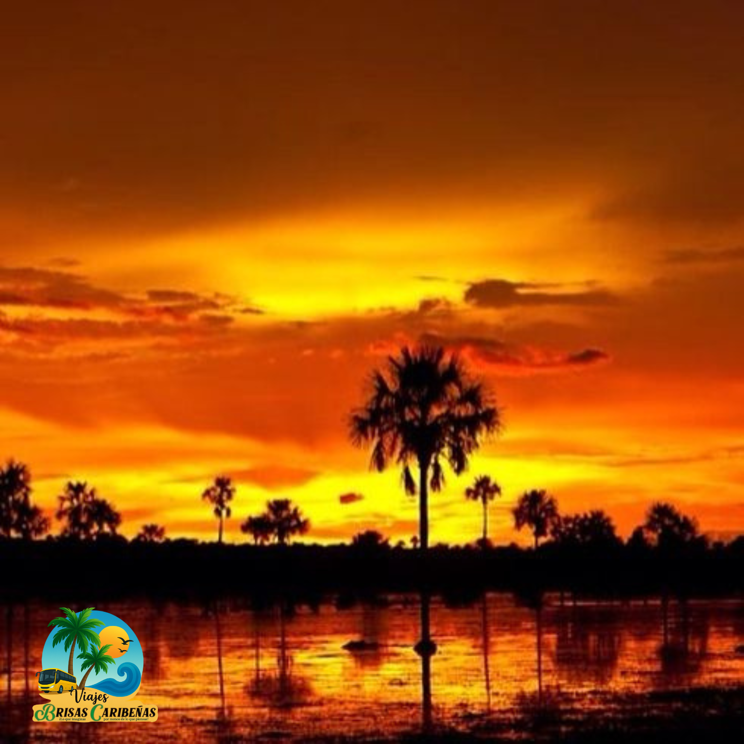 llanos orientales brisas caribeñas Llanos Orientales
