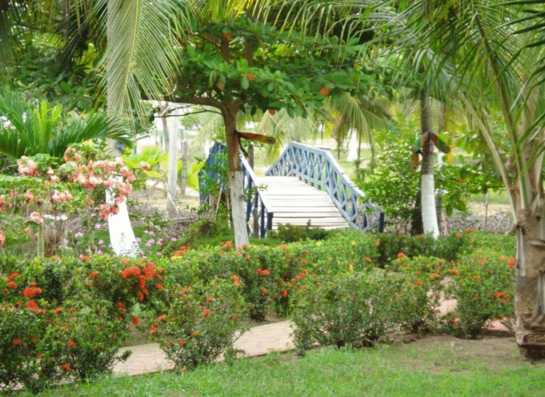 HOTEL COSTA DE MARFIL